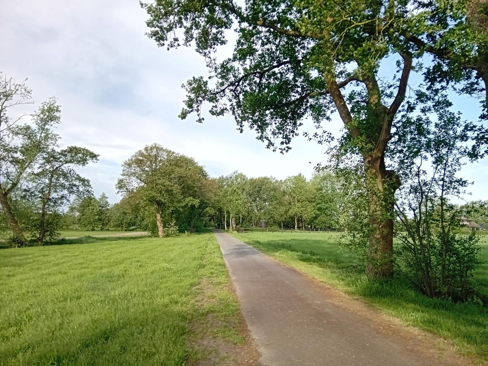 Ruim Huisje Op Een Prachtige Plek Hemrik Exterior foto