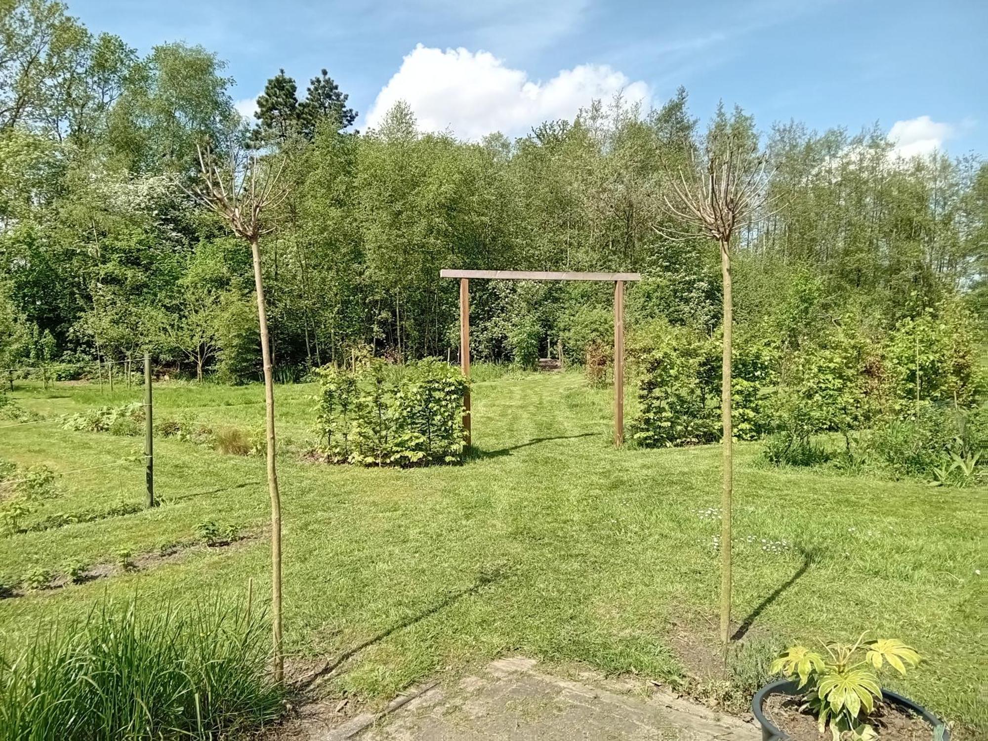Ruim Huisje Op Een Prachtige Plek Hemrik Exterior foto